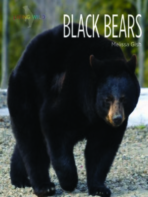cover image of Black Bears